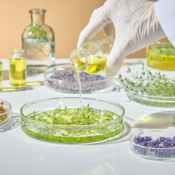 Extractos vegetales naturales ingredientes Motion Energy
